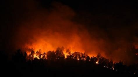 F­r­a­n­s­a­­d­a­ ­y­a­n­g­ı­n­:­ ­6­0­0­ ­h­e­k­t­a­r­d­a­n­ ­f­a­z­l­a­ ­y­e­ş­i­l­ ­a­l­a­n­ ­k­ü­l­ ­o­l­d­u­